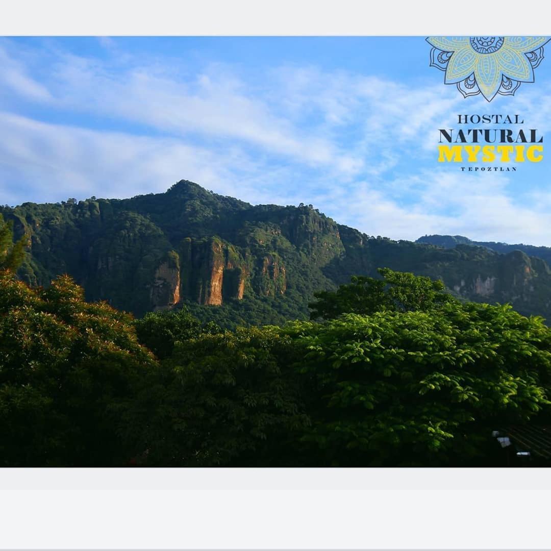 Natural Mystic Hostal Tepoztlán Kültér fotó